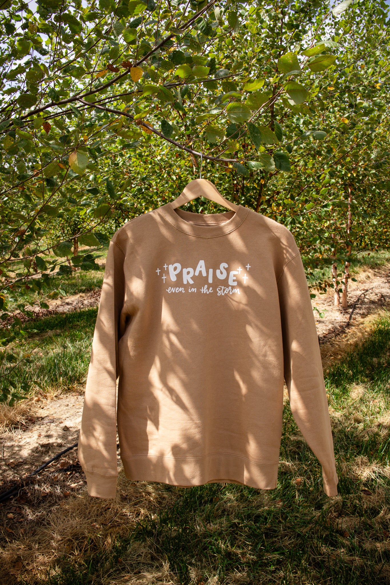 Praise even in the storm | crewneck (Tan)