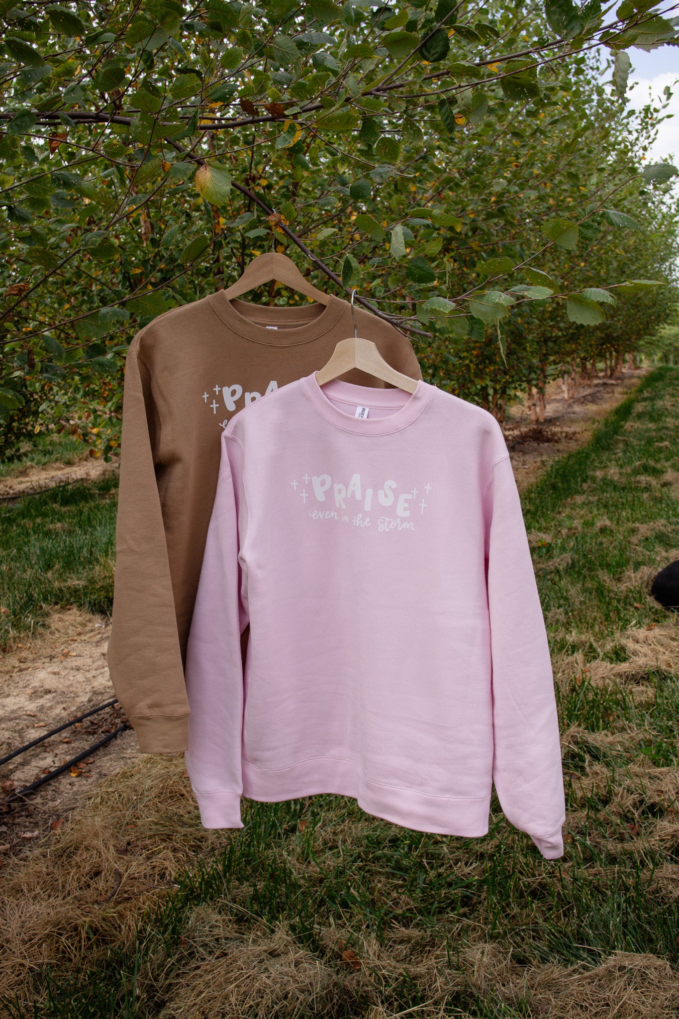 Praise even in the storm | crewneck (Pink)