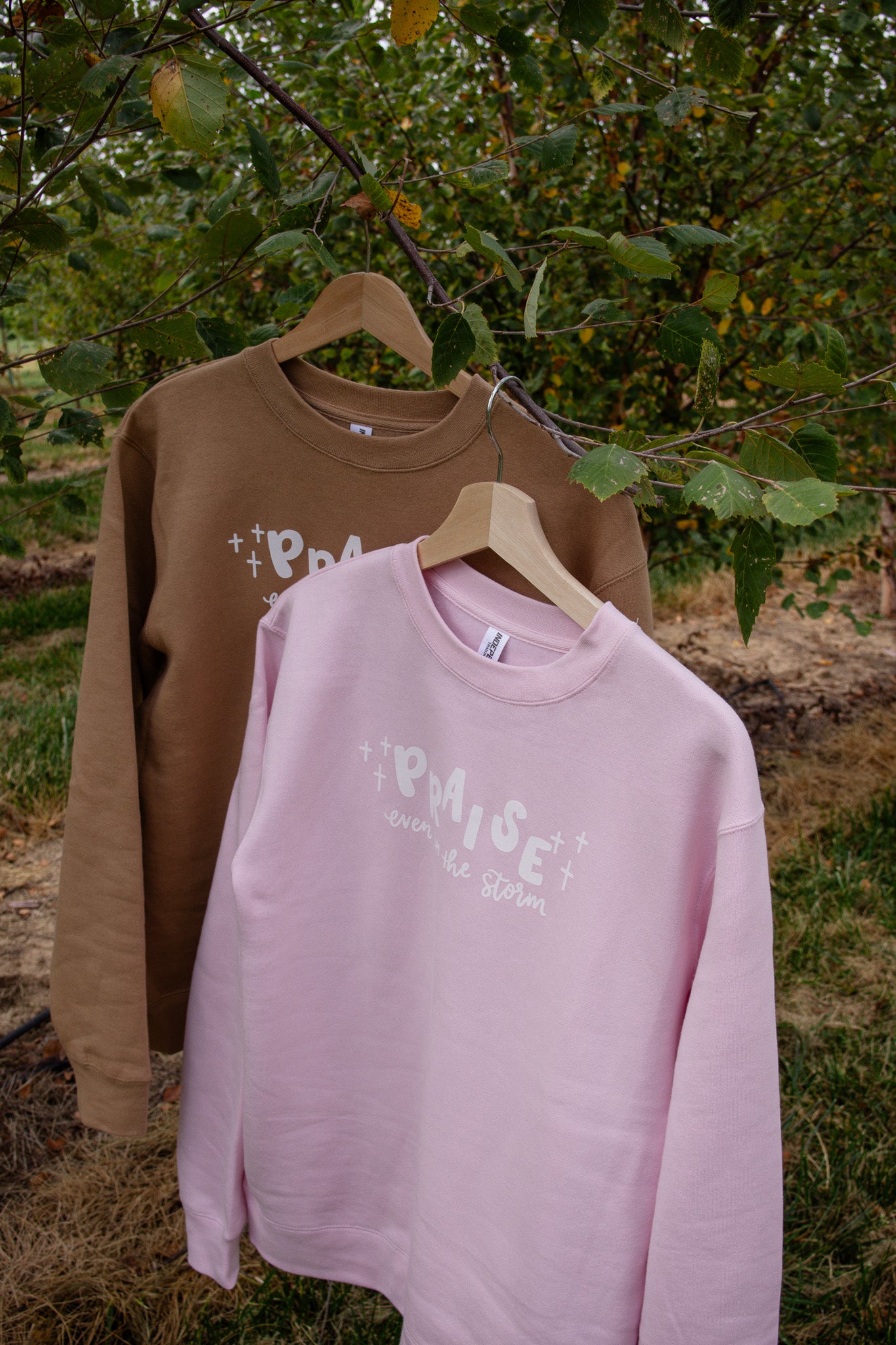 Praise even in the storm | crewneck (Pink)