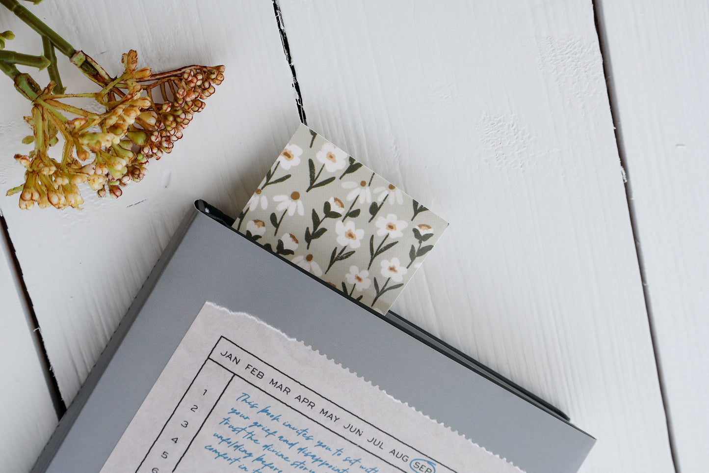 Daisy Meadow | bookmark