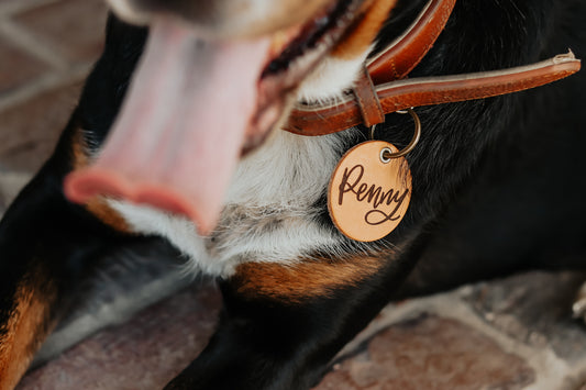 Laser Engraved Custom Dog Tags